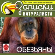 Рассказы классиков о животных. Обезьяны