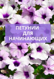 Петунии для начинающих