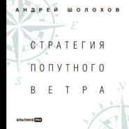 Стратегия попутного ветра. Как обнаружить или создать асимметрии, способные придать бизнесу ускорение