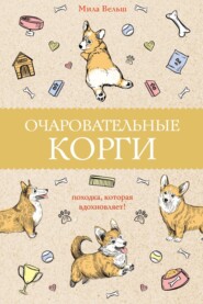 Очаровательные корги. Походка, которая вдохновляет!