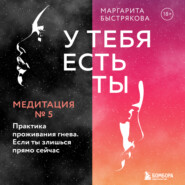 У тебя есть ты. Медитация 5. Практика проживания гнева. Если ты злишься прямо сейчас