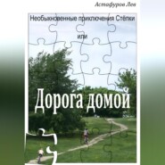 Необыкновенные приключения Стёпки, или Дорога домой