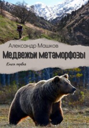 Медвежьи метаморфозы