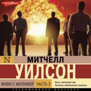 Живи с молнией. Книга 3. Окружающий мир