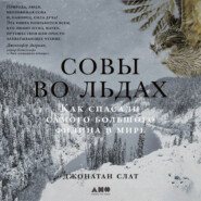 Совы во льдах: Как спасали самого большого филина в мире