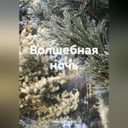 Волшебная ночь