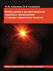 Возбуждение и распространение взрывных превращений в зарядах взрывчатых веществ