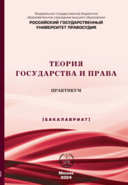 Теория государства и права. Практикум (Бакалавриат)