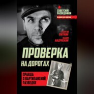 Проверка на дорогах. Правда о партизанской разведке