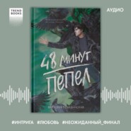 48 минут. Пепел