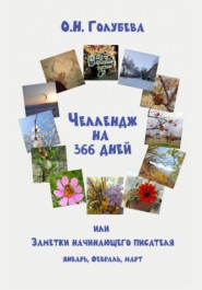 ЧЕЛЛЕНДЖ НА 366 ДНЕЙ, или Заметки начинающего писателя Часть 1