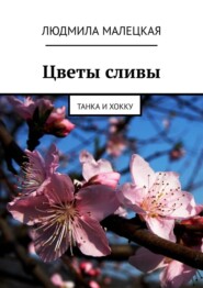 Цветы сливы. Танка и хокку