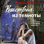 Выстрел из темноты