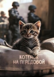 Котёнок на передовой