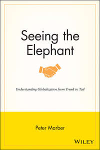 Seeing the Elephant. Understanding Globalization from Trunk to Tail