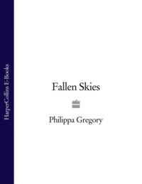 Fallen Skies