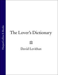 The Lover’s Dictionary: A Love Story in 185 Definitions