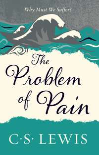 The Problem of Pain