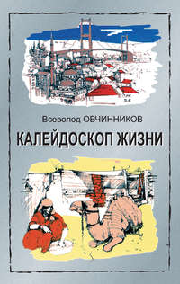 Калейдоскоп жизни: экзотические, драматические и комические эпизоды личной судьбы ветерана журналистики