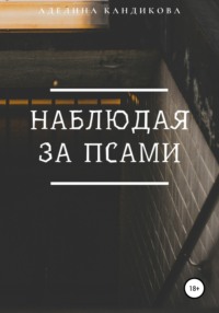 Наблюдая за псами