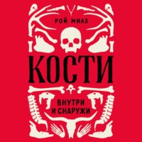 Кости: внутри и снаружи