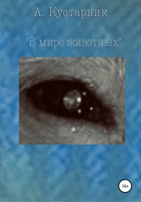 В мире животных