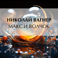 Макс и Волчок