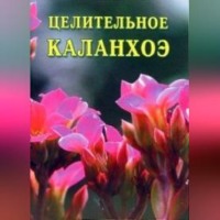 Целительное каланхоэ