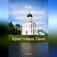 Как православному христианину подготовиться к Причащению Святых Христовых Таин