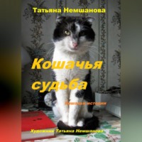 Кошачья судьба. Кошачьи истории.