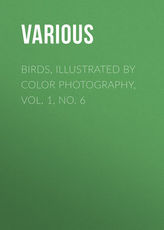 Birds, Illustrated by Color Photography, Vol. 1, No. 6