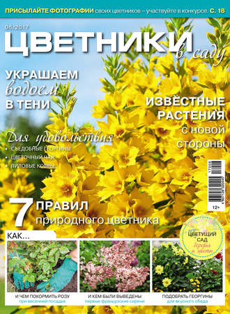 Цветники в саду №06/2017