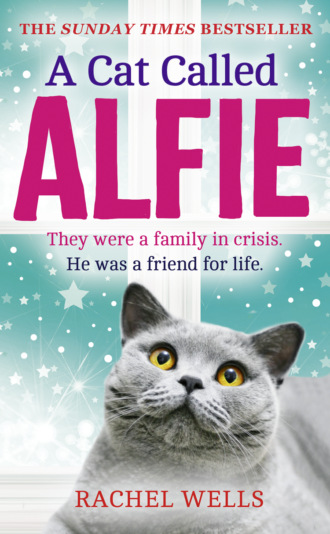 A Cat Called Alfie