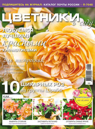 Цветники в саду №07/2019