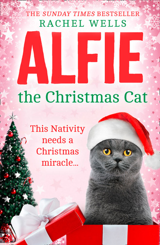 Alfie the Christmas Cat