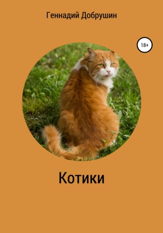 Котики