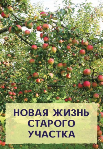 Новая жизнь старого участка