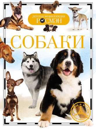 Собаки